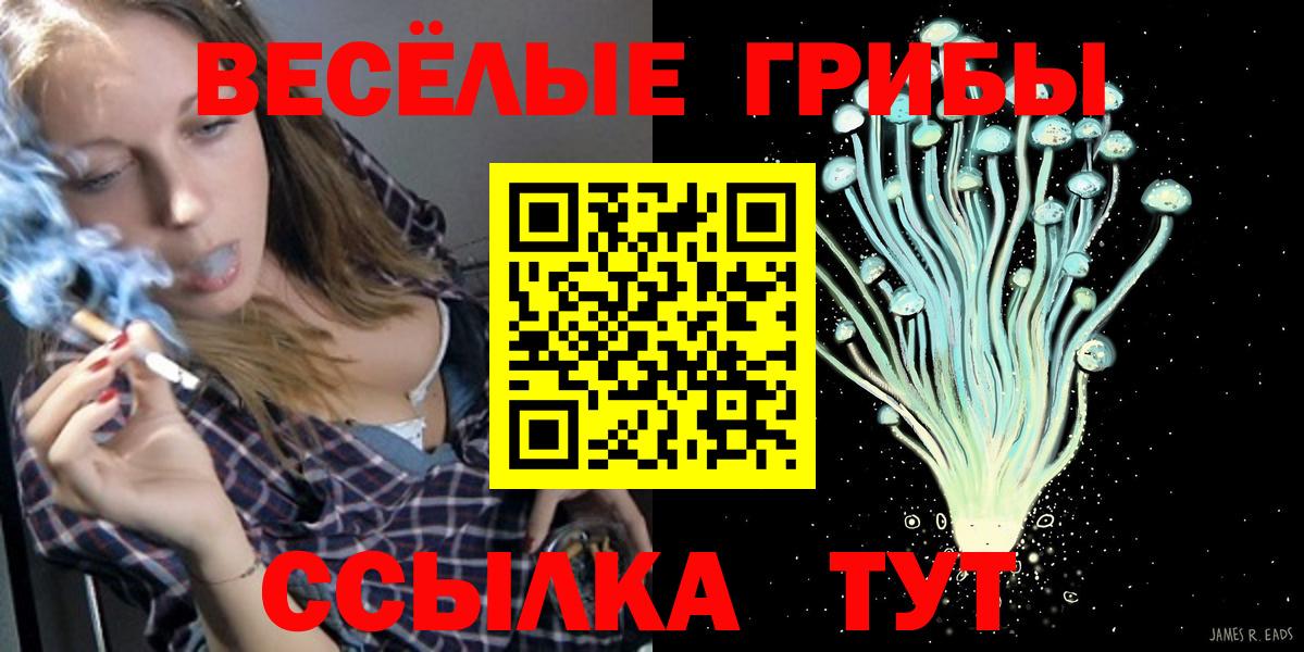 Галлюциногенные грибы GOLDEN TEACHER  как найти наркотики  Печора  Вход с VPN 