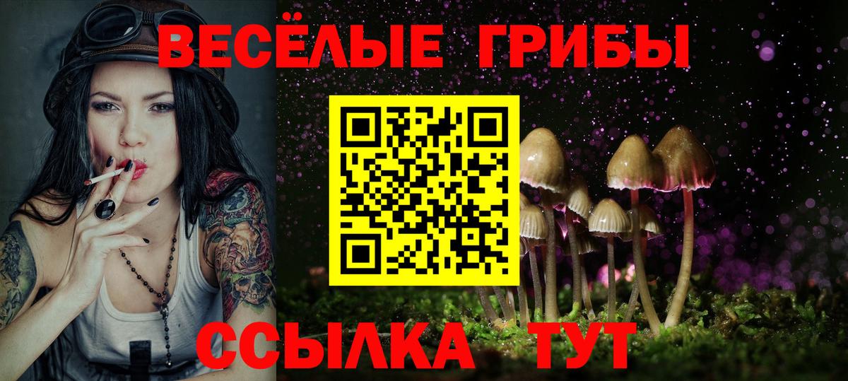 Псилоцибиновые грибы GOLDEN TEACHER Печора